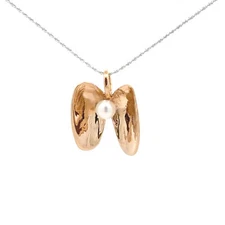 14KT. Yellow Gold Mussel Shell Pendant With Pearl