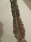 Picture 4 of 37