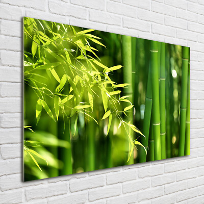 Wandbild aus Plexiglas Druck auf Acryl 100x70 Blumen & Pflanzen Bambus |  eBay
