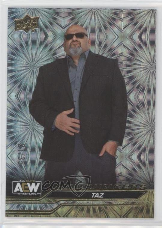 2024 Upper Deck AEW All Elite Wrestling Announcers Gold Pyro 21/35 Taz #98 15ol