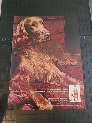 Johnnie Walker Red Dog Print Ad 1980 8x11 Promo Wall Art  