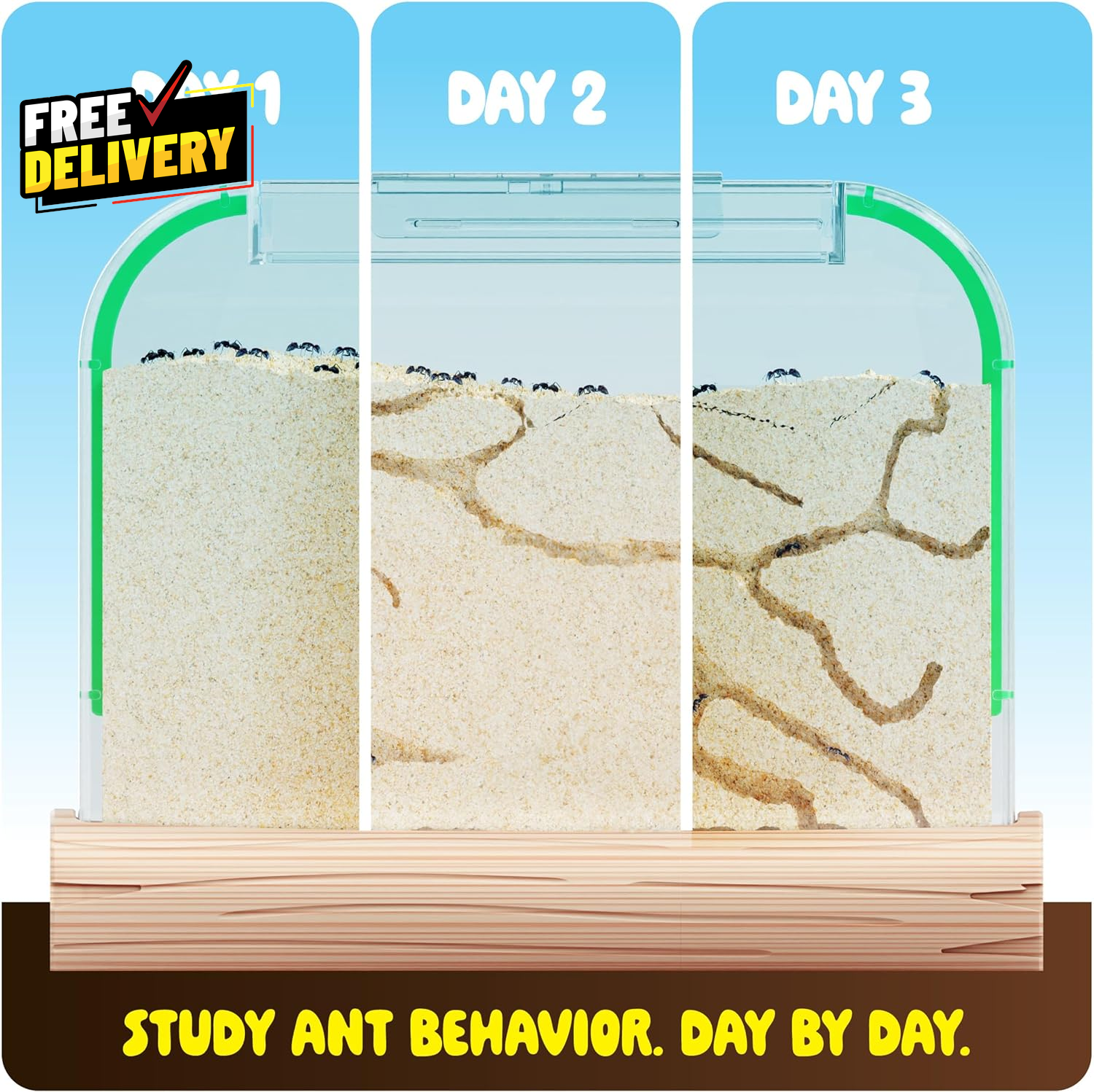 Ant Farm Kit for Kids Farms Colony Includes Ants Voucher Sand Habitat ...
