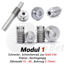 Schnecke Schneckenrad aus Stahl Modul 1 Schneckengetriebe Zahnrad 15 - 60 Zähne