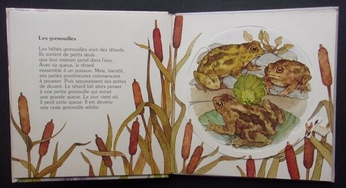 Collection Tournimage BÉBÉ ANIMAUX Claude Pistache Caroll Andrus 1980 - Picture 5 of 6