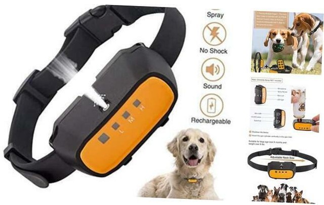 citronella collar ebay