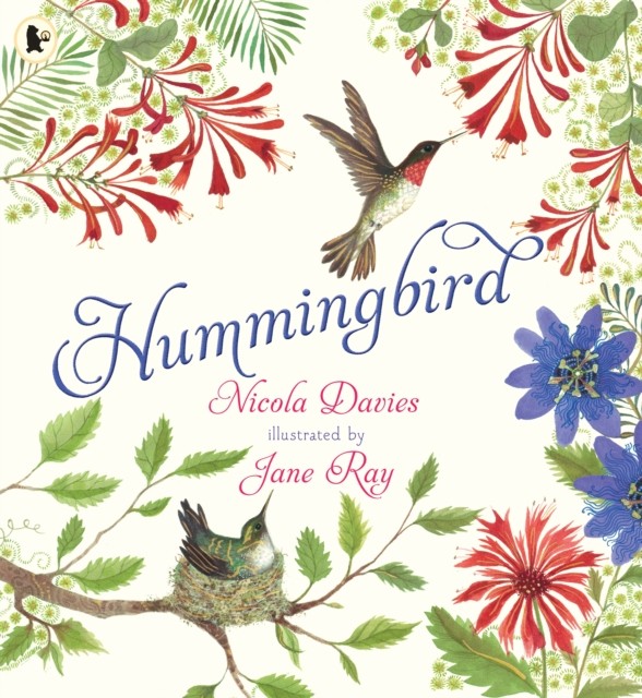 Hummingbird by Nicola Davies (Paperback Book)