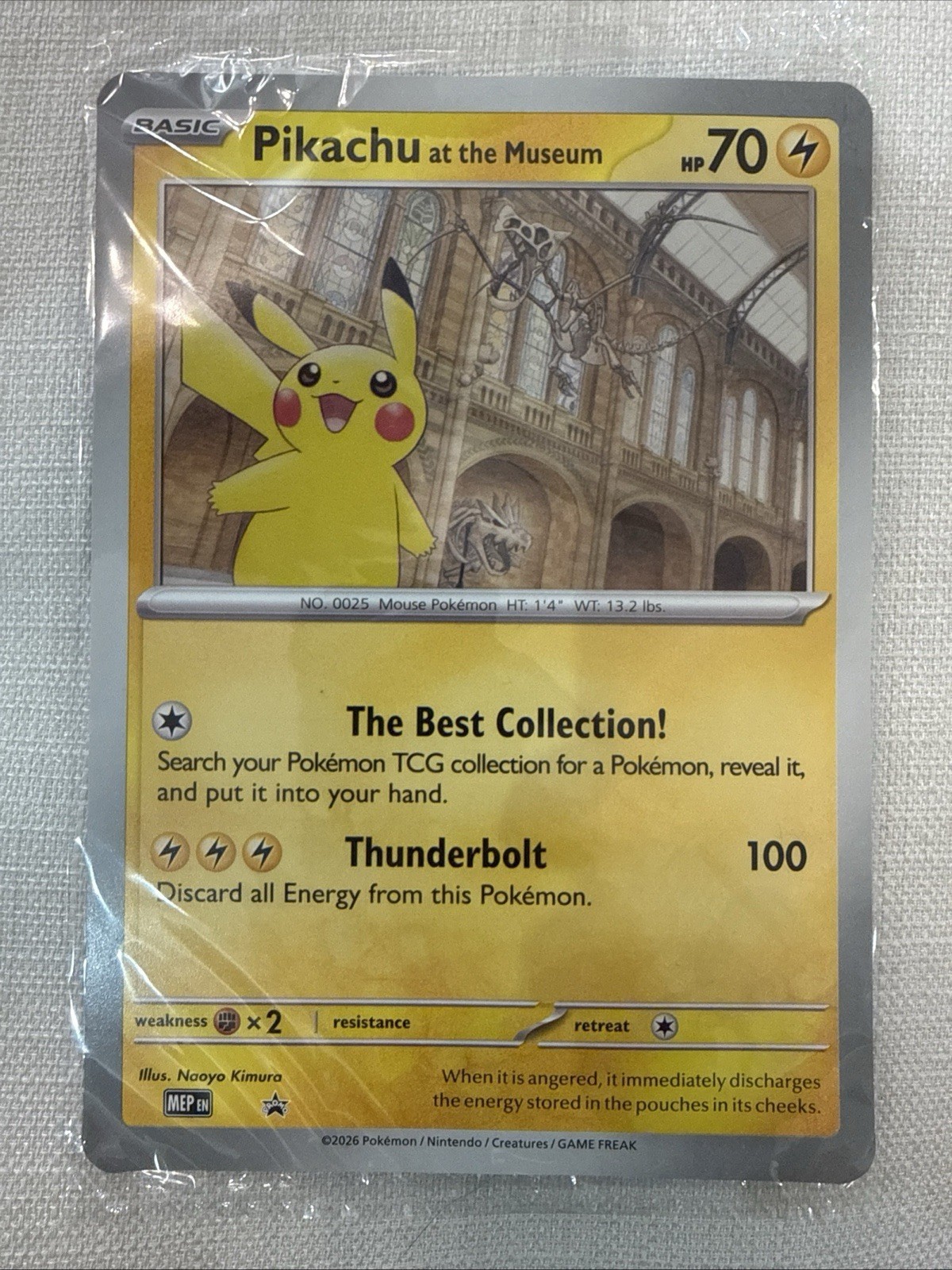 Pokémon TCG Pikachu At The Museum Promo Card