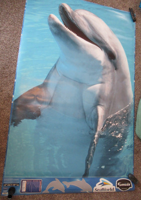 Real Big Fathead Dolphin Seaworld wall poster  Large 48x72''  4x6'