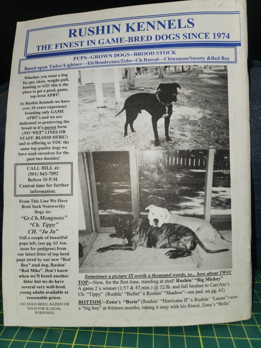 Pit Bull Reporter Magazine Vol Issue 1-1998 Gamedog Pit Bull