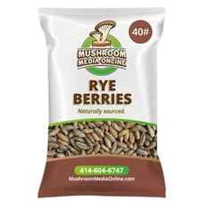 MushroomMediaOnline Whole Rye Berries