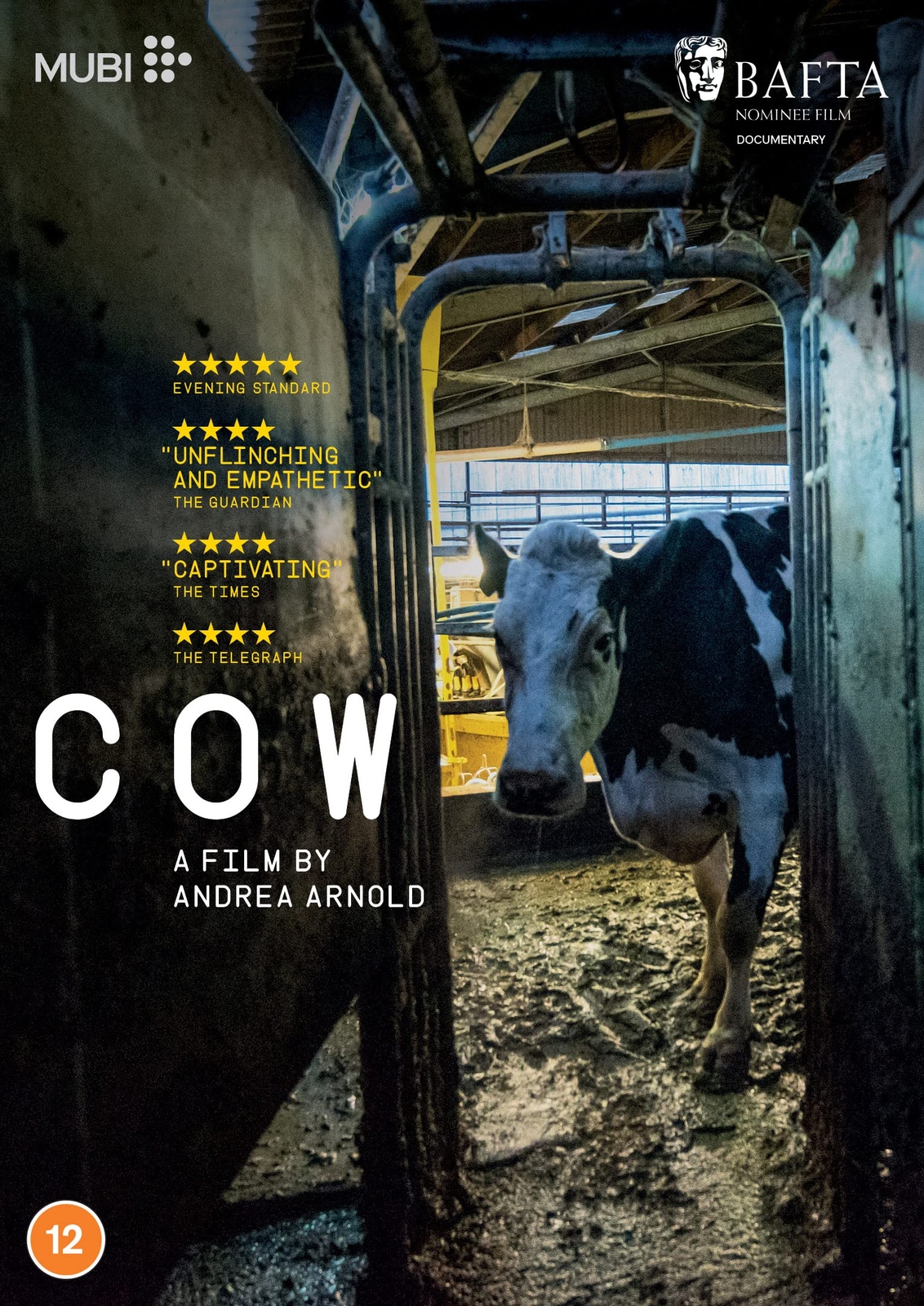 Cow (DVD) Luma