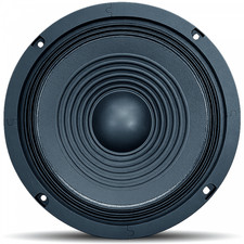 Full Range 8 Inch Chassis Speaker 100W RMS 8 Ohm Paper Cone Foam Edge 210 mm