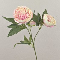 Artplants KüNstliche Blume Pfingstrose Misti, Hellviolett, 70Cm