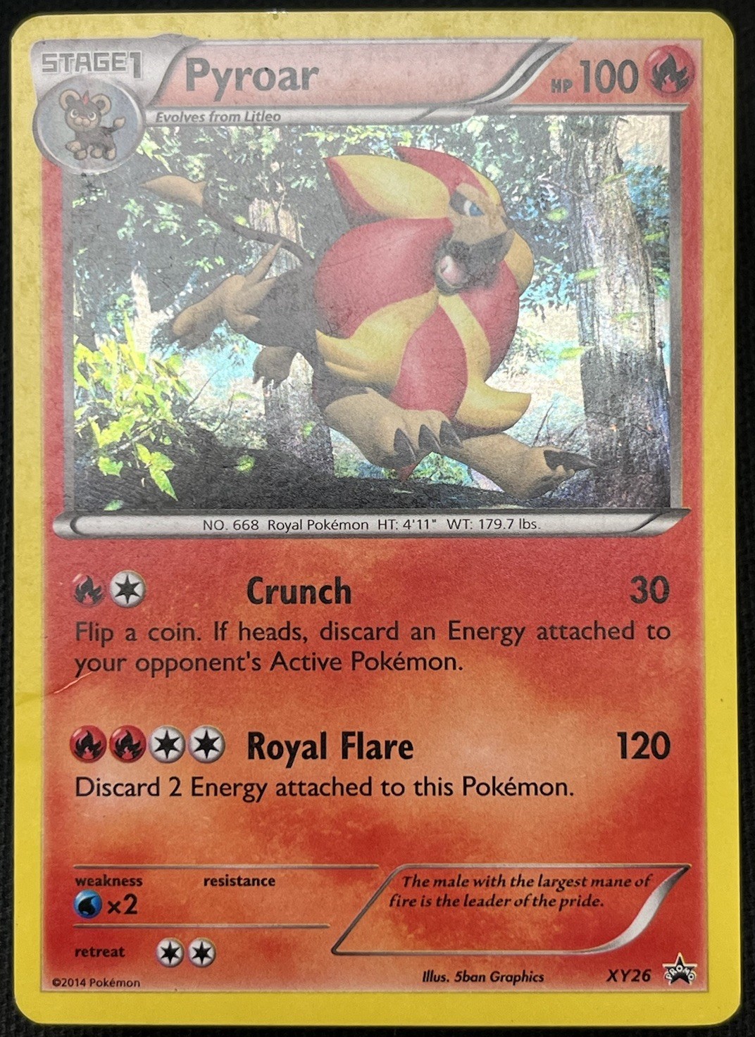 Pyroar XY26 Holo Promo XY Promo Pokemon Holo MP
