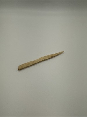 Ancient Iroquois Bone Needle/Awl/Tool
