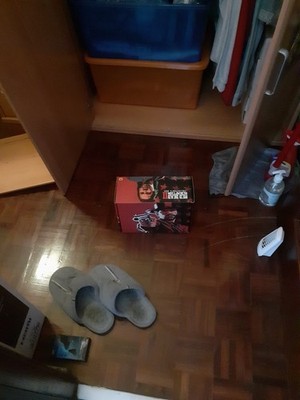 red dead redemption 2 collector's box without game PS4