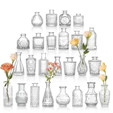 Set of 25 Glass Bud Vases – Assorted Sizes for Home or Party Table Decor