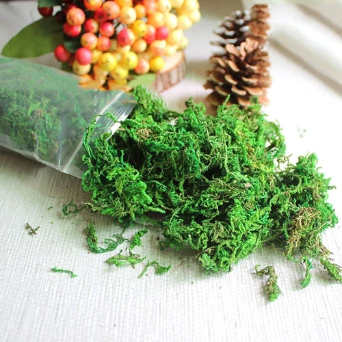 Accessories Dry Moss Lichen Artificial Moss Artificial Plant Fake Green Plants - Picture 7 of 8