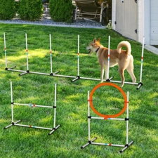 3PC Dog Agility Training Equipment Set Pet Outdoor Obstacle Starter Courses Kit