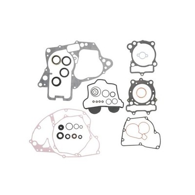   WINDEROSA FULL GASKET SET ENGINE W811983 NEU DE STOCK