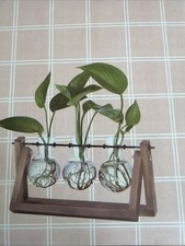 Plant Terrarium W/ Wooden Stand Air Planter Bulb Glass Vase Metal Swivel Holder