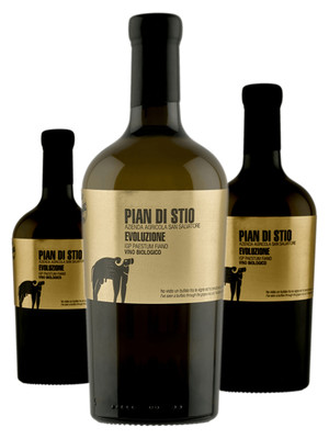 3 x Azienda Agricola San Salvatore Pian di Stio Evoluzione Fiano   2020