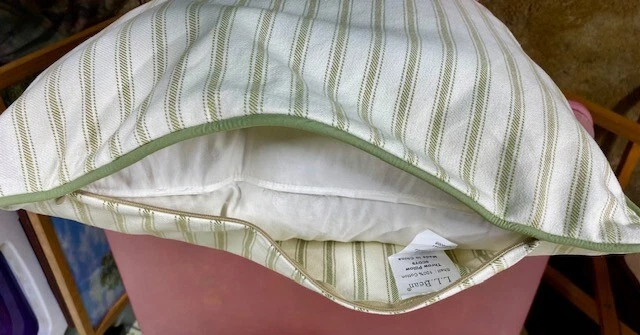 Almohadas LL Bean Cuadradas Pluma de Ganso Marfil y Verde Rayas 17 X 17" - Leer Foto 2 de 4