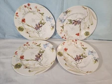 Royal Stafford Sketchbook Dinner Plates, Set of 4, NICE!
