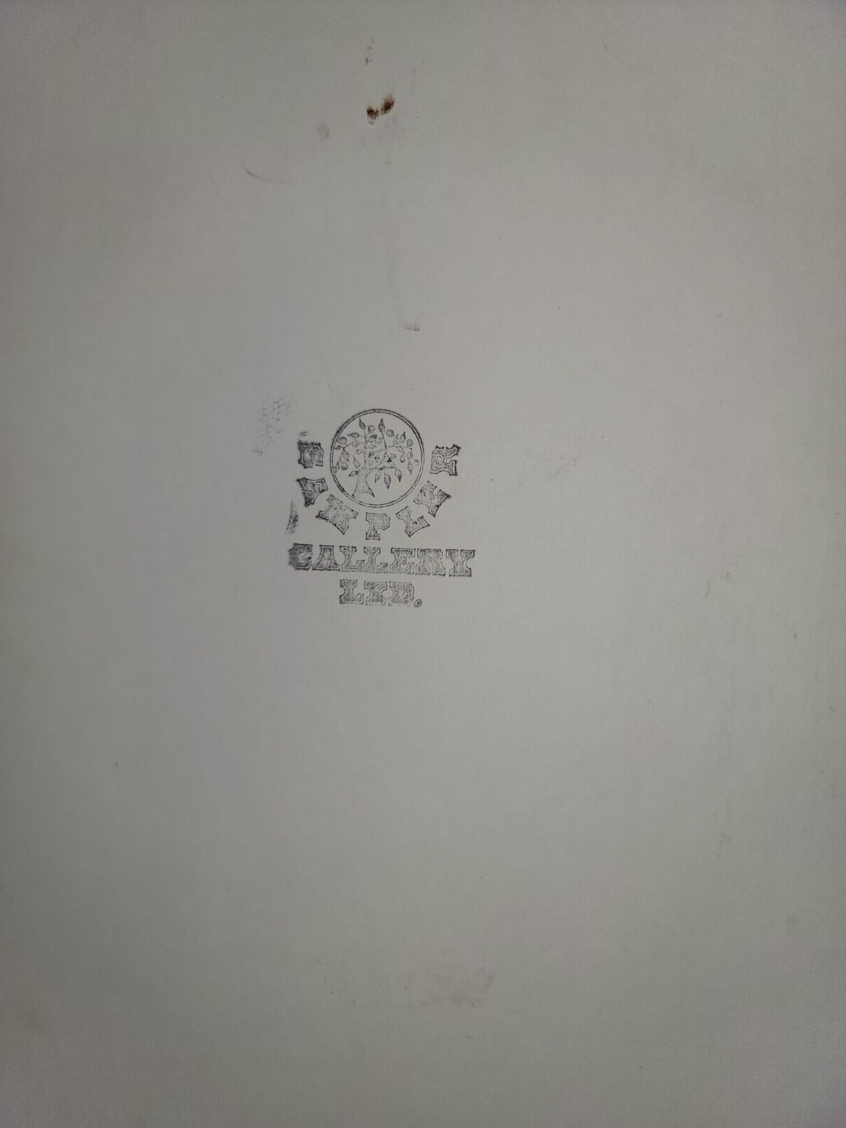 Picture 20 of 20