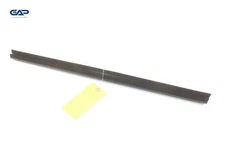 2021 - 2023 NISSAN ROGUE REAR LEFT DOOR WINDOW BELT WEATHERSTRIP SEAL OEM
