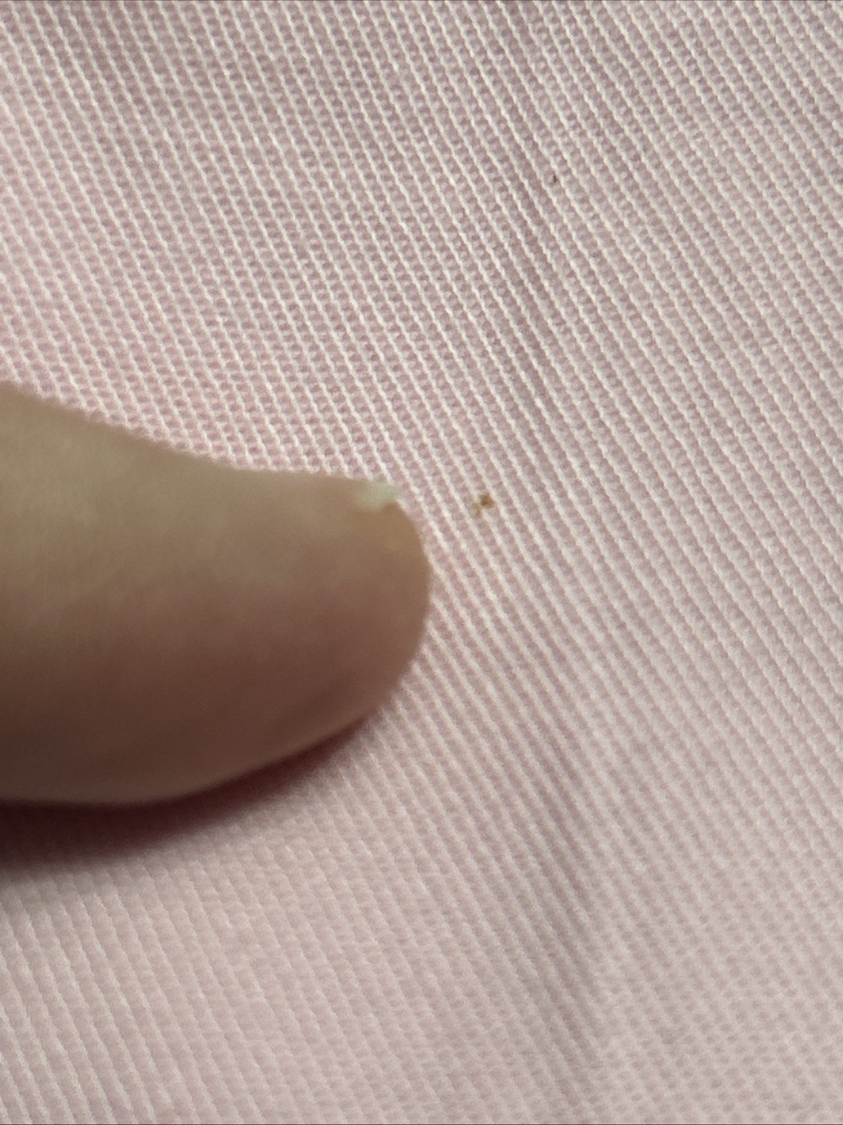 Mens Brooks Brothers Bermuda Shorts Golf Cotton Casual Sz 34 EC 11” Ins Pink ⛳️ thumbnail 5