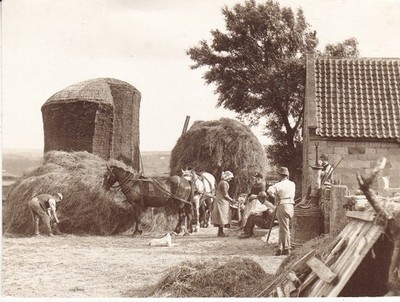 The Ingathering Four Lane Ends Farm Whitby Postkarte verschickt 1990 sehr guter Zustand