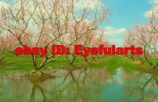 Landscapes Corel Royalty-Free Stock Photo CD-ROM Disk USB