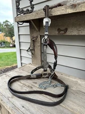 Horse Tack - Yearling Show Halter With Lead