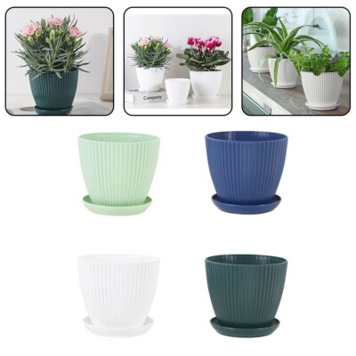 Fr Orchideen Fr Schlangenpflanzen Blumentpfe Draussen Fr Aloe Vera |  eBay.de