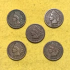 1895-1899 Indian head cent set - G-VG Condition