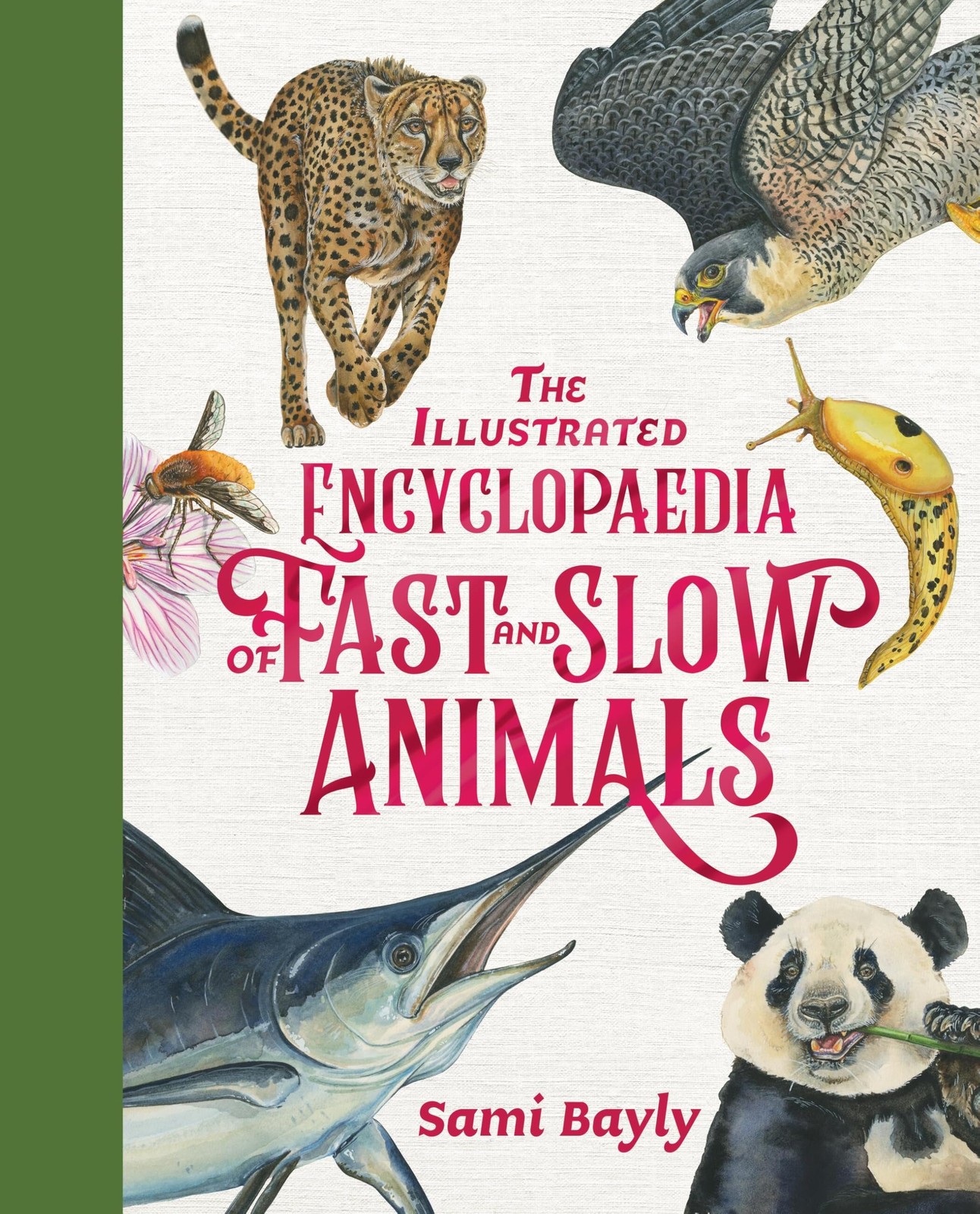 The Illustrated Encyclopaedia of Fast and Slow Animals by Sami Bayly NEW - Image 4