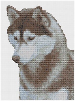 Cross Stitch Pattern by Florashell - Siberian Husky Dog