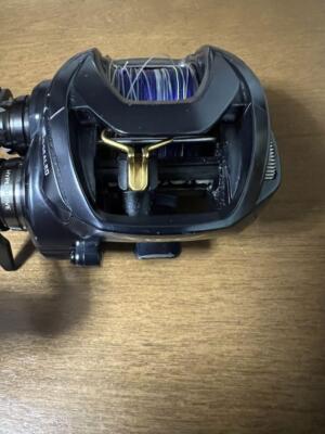 Daiwa 23 STEEZ AⅡ TW 1000XH Right Baitcasting Reel From JAPAN | eBay
