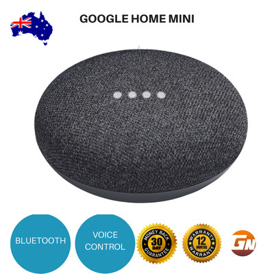 google home mini voice control
