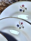 Tirschenreuth "TIR141" Set of 4 Salad Plates — photo 2