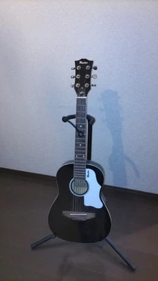 Gibson Maestro Indiana Acoustic Guitars for sale | eBay