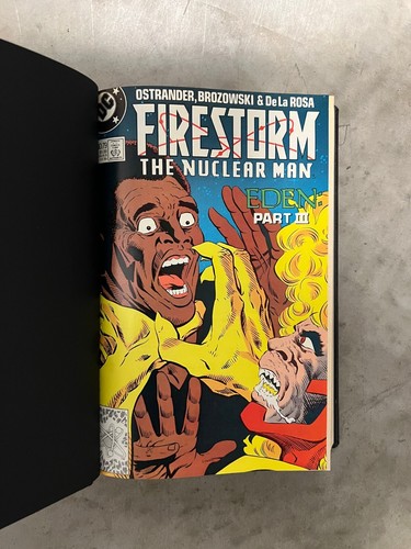 Firestorm Conway Ostrander 1st & 2nd Series Omnibus Custom Bound Hardcover Set - Picture 21 of 22