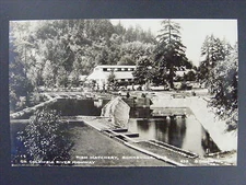 Bonneville Oregon OR Fish Hatchery Columbia Real Photo Postcard RPPC c1930-50