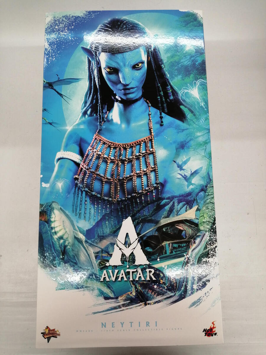 Hot Toys Neytiri 1/6 Figure Avatar | eBay Hot Toys Neytiri 1/6 Figure Avatar | eBay