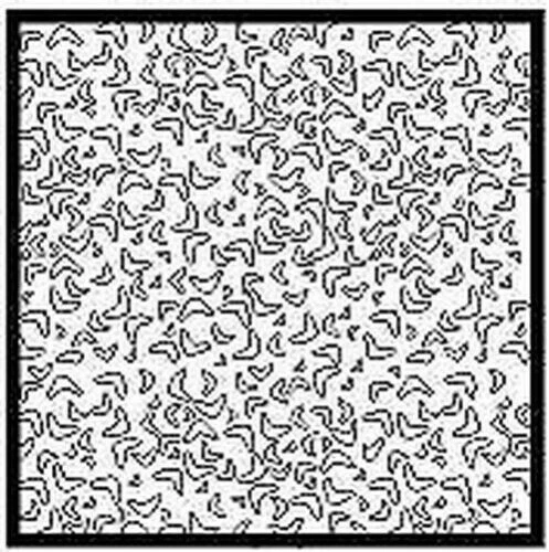 Boomerang Radio-Controlled Cars & Motorcycles