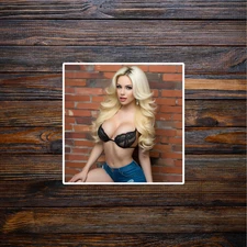 Pinup girl sticker vinyl decal woman blonde bombshell cleavage seductive sexy