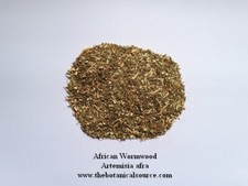 African Wormwood - Artemisia afra - Pure Organic Herb 