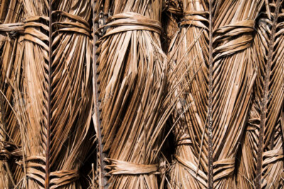 50 Leaves enlarge Coconut leaves Palm Dried 100% Natural Organic Ceylon