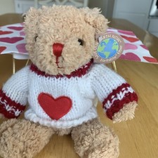 Dan Dee Collectors Choice Save Our Earth Valentine s Day Plush Bear